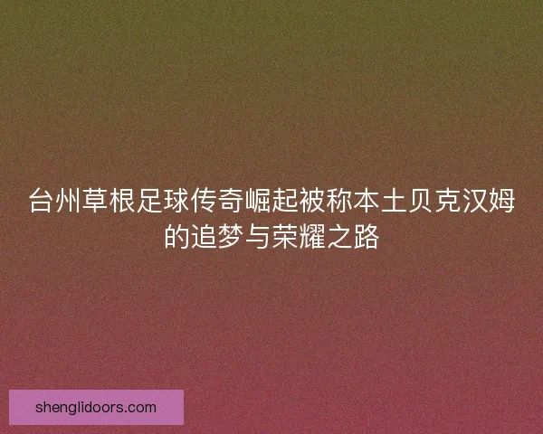 台州草根足球传奇崛起被称本土贝克汉姆的追梦与荣耀之路