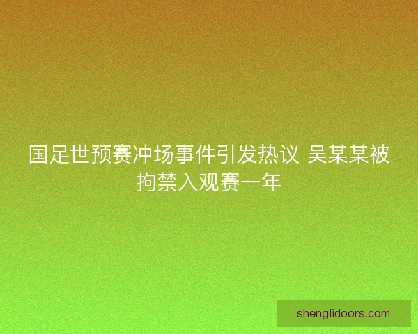 国足世预赛冲场事件引发热议 吴某某被拘禁入观赛一年