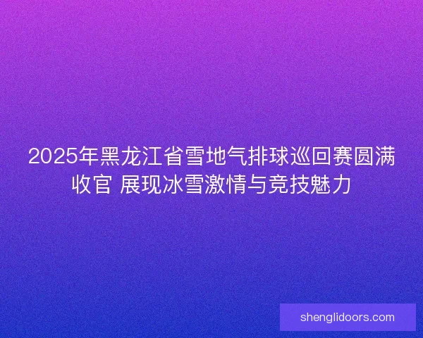 2025年黑龙江省雪地气排球巡回赛圆满收官 展现冰雪激情与竞技魅力