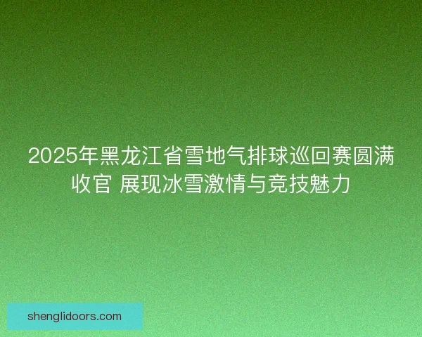 2025年黑龙江省雪地气排球巡回赛圆满收官 展现冰雪激情与竞技魅力