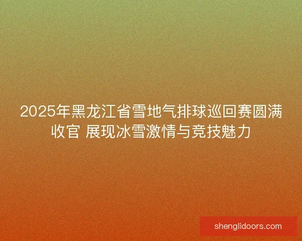 2025年黑龙江省雪地气排球巡回赛圆满收官 展现冰雪激情与竞技魅力